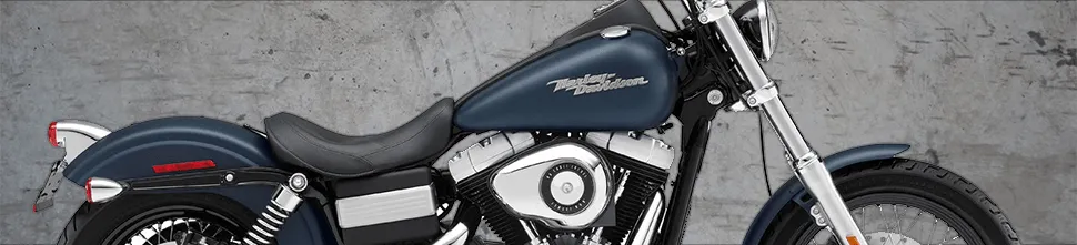 Dyna Models