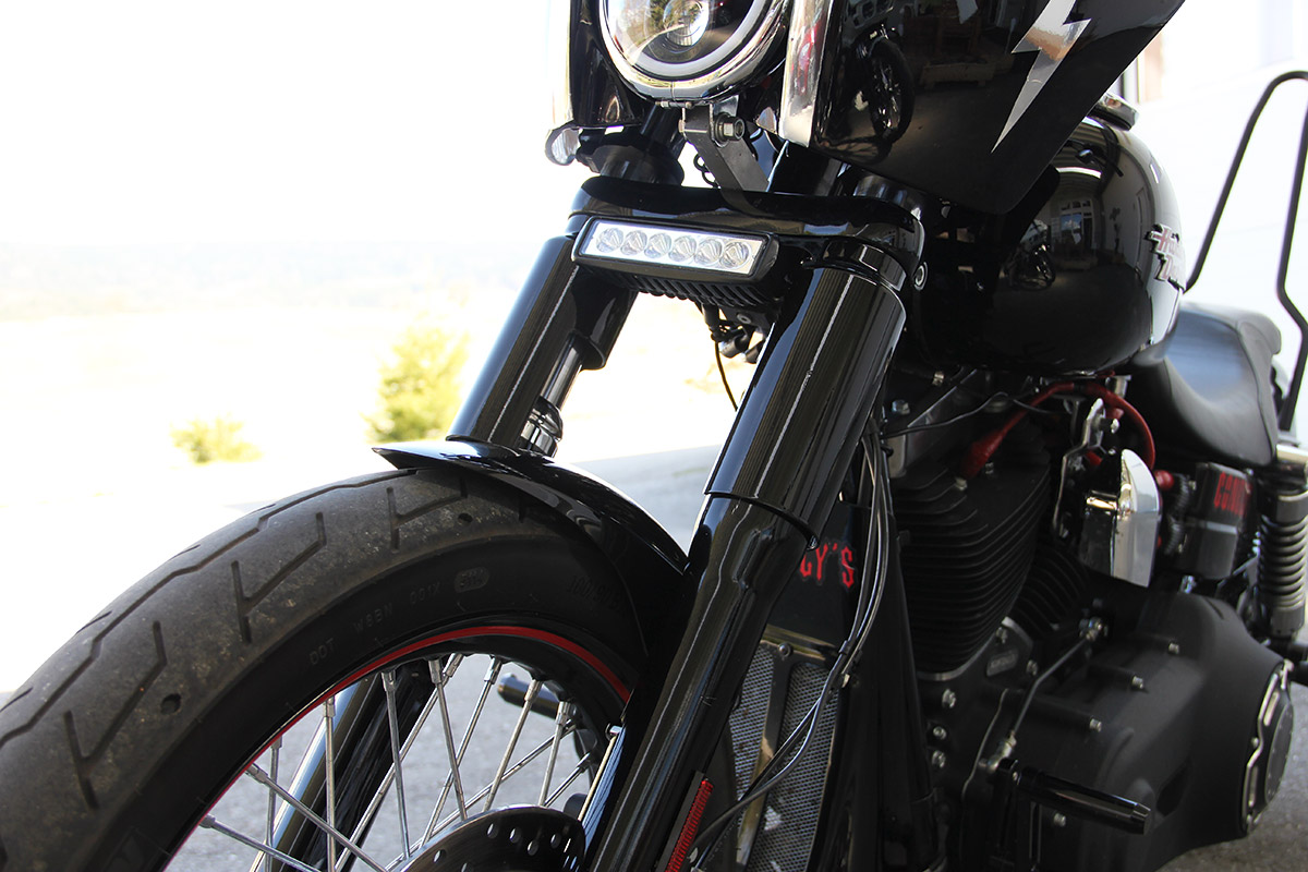 dyna fork covers