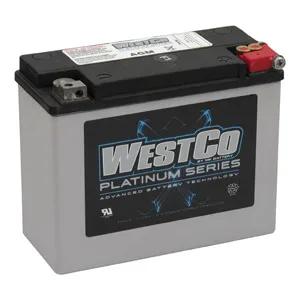 WestCo Platinum Series AGM Battery 340 CCA For 1980-1996 Touring Models (ARM410855)