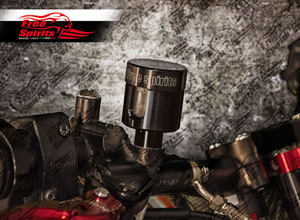 Free Spirits Direct Mount Brake Reservoir Kit In Black For Triumph Motorcycles (303820K)