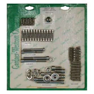 Gardner Westcott Motor Screw Set, Allen For 1958-1964 PAN (Short Bolts For Steel D-Rings) Models (C-74-93)