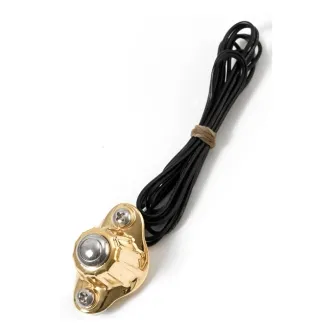 Kustom Tech 1 Button Deluxe Line Switch Housing In Polished Brass (20-160)