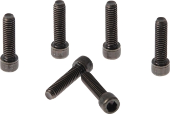 Cult Werk Triple Tree Screw Set (6 Piece Set) in Black Finish For 18-20 FXBR/S Models (HD-BRO033)