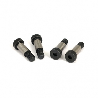 Belt Drives LTD Shoulder Head Bolts, Clutch 3/8 x 3/4 Shoulder Head Bolts, For Pressure Plate Of Clutch 2 Inch SS Drives, 1998-2006 Competitor Clutch, BDL Balls Clutch (ARM489815)