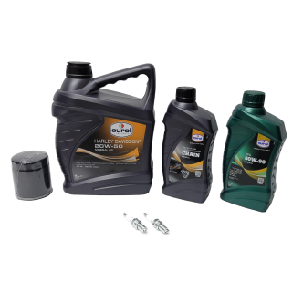 Service Kit For 1999-2006 Twin Cam with Carb