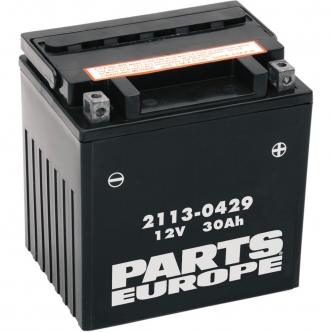 Parts Europe Battery AGM Maintenance Free 12V 30 AH 385A in Black Finish For 1999-2023 FLT/FLHT/FLHX/FLHR FLTR And 09-23 H-D FL Trikes Models (CTX30L-BS)