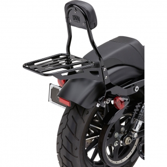 Harley quick shop detach sissy bar