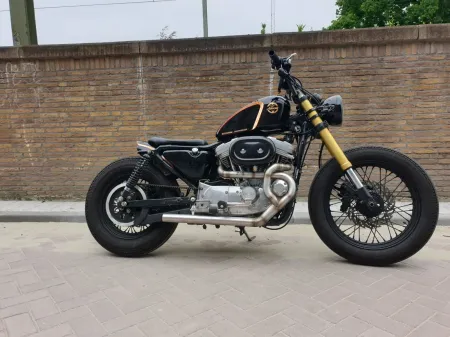 Mad Exhaust Eleanor 2-into-1 In Raw Stainless Steel Finish For 1986-2020 Sportster (782052)