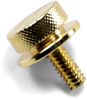 Saddlemen Gold Mounting Screw 1/4 Inch - 20 Thread (8909GO)