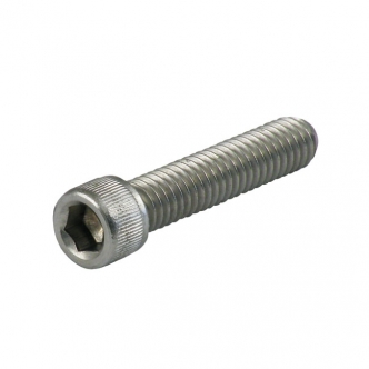 DOSS 1/4-20 x 7/8 Inch Allen Bolt in Stainless Steel (5 Pack) (ARM212379)