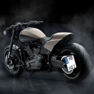 Heinz Bikes German Size 180mm x 200mm Side License Plate Holder In Black For Harley Davidson 2019-2020 FXDR Softail King Models (HBSKZ-FXDR)