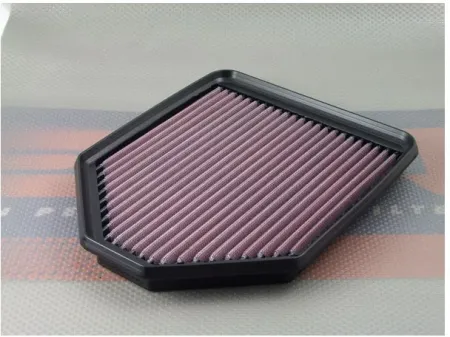 Dna Air Filter Element (P-DU10S02-01)