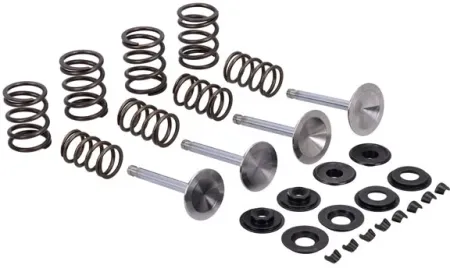 Manley, Race Master Valve KIT. Stock - .495