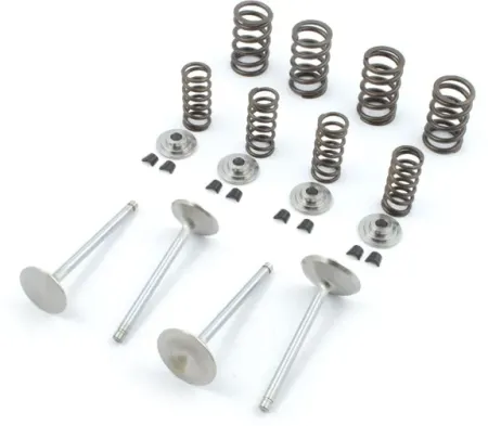 Manley, Race Master Valve KIT. .550