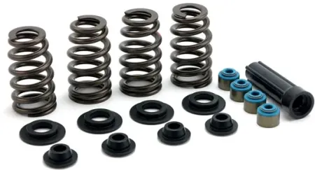 Manley, Valve Spring KIT. STEEL. STD To .600