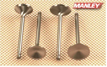 Manley, Severe Duty Stainless Valves, INTAKE. Conversion (99062-2)