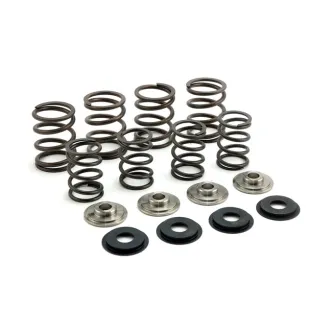 Manley, Valve SPRING. Stock To .495