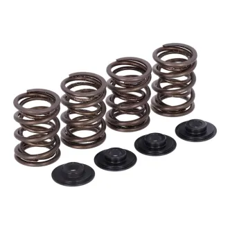 Manley, Valve Spring KIT. Stock To .456