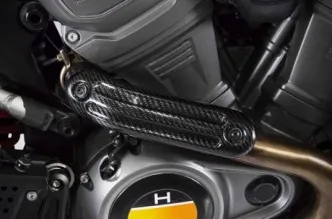 Zard Carbon Heat Shield For 2020-2023 Pan America Models (ARM346379)