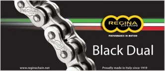 Regina Chains 520 ZRA Series Chain (135ZRA/1011)