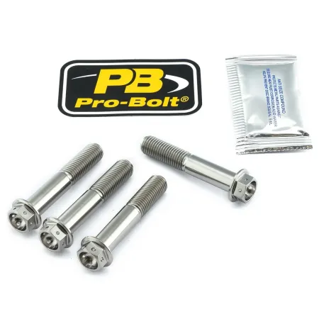 Pro Bolt Titanium Brake Caliper Mount Kit (TIFBMON140R)