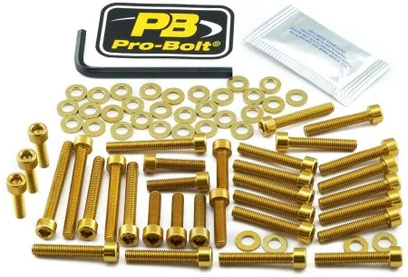 Pro Bolt Aluminium Engine Bolt Kit For BMW (EBM047G)