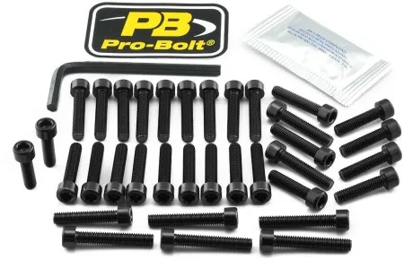 Pro Bolt Aluminium Engine Bolt Kit For Honda (EHO214BK)