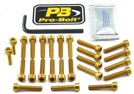 Pro Bolt Aluminium Engine Bolt Kit For Honda (EHO420G)
