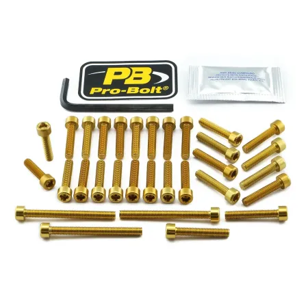 Pro Bolt Aluminium Engine Bolt Kit For Kawasaki (EKA410G)