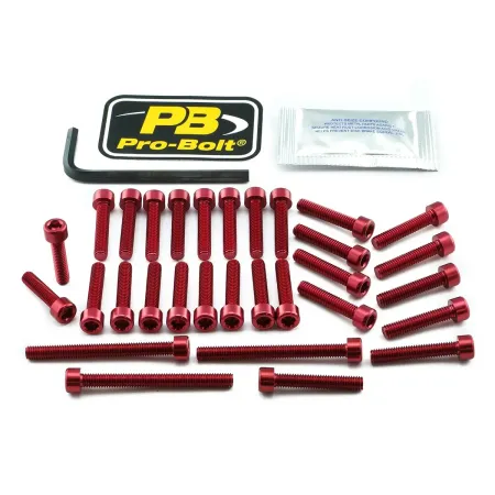 Pro Bolt Aluminium Engine Bolt Kit For Kawasaki (EKA410R)