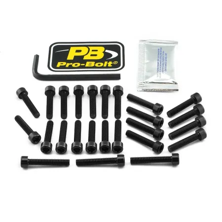 Pro Bolt Aluminium Engine Bolt Kit For Kawasaki (EKA430BK)