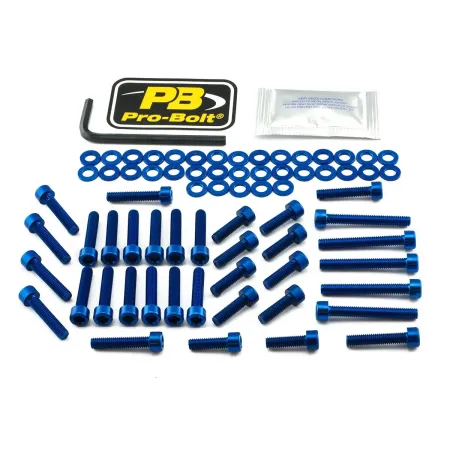 Pro Bolt Aluminium Engine Bolt Kit For BMW (EYA356B)