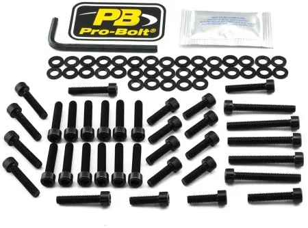 Pro Bolt Aluminium Engine Bolt Kit For BMW (EYA356BK)