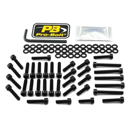 Pro Bolt Aluminium Engine Bolt Kit For BMW (EYA356BK)