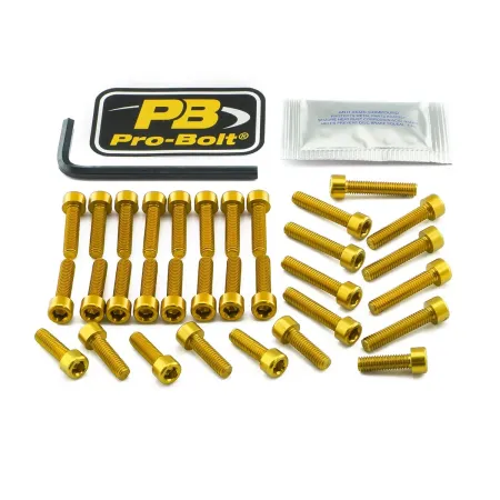 Pro Bolt Aluminium Engine Bolt Kit For BMW (EYA700G)