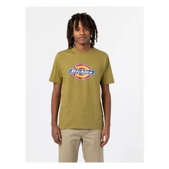 Dickies Icon Logo T-shirt Green Moss Size Small (ARM994439)