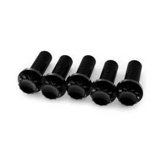Kraus Titanium 12-Point Rear Brake Rotor Bolt Kit In Black For Harley Davidson Front Brake Rotors With 3/8-18 Threaded Hub Mount (HD-T38-B5)