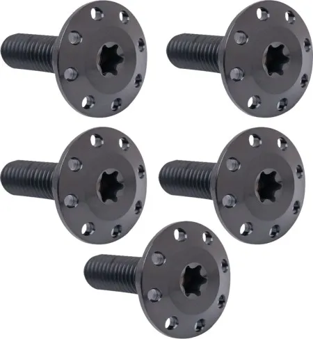 Arlen Ness Titanium Brake Rotor Bolt Kit In Black For 2024-2026 Touring Models (300-915)