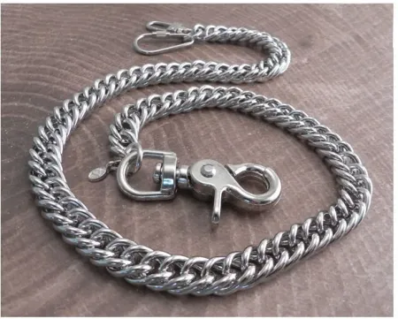 Amigaz Coil Wallet Chain 22