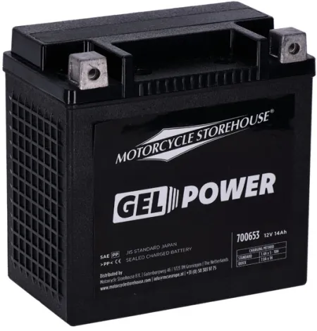 MCS Nano Series Sealed Gel Battery 12V, 14Ah, 260CCA For Harley Davidson 2004-2022 Sportster, 2021-2025 RH1250S, 2024-2025 RH975S Nightster Special, 2008-2012 XR1200, 2014-2020 XG500/750, 2017-2020 XG750A, 2008-2010 Buell 1125R/CR & 2021-2023 RA1250 Pan America Models (GHD14HL-BS)