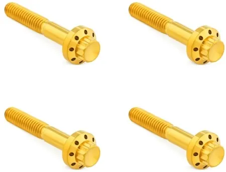 Arlen Ness Titanium Front Fender Bolt Kit In Gold For Harley Davidson 2009-2026 Road Glide, Street Glide & Road King (300-820)