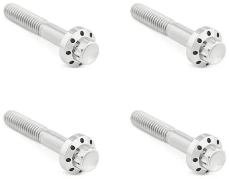 Arlen Ness Titanium Front Fender Bolt Kit In Polished For Harley Davidson 2009-2026 Road Glide, Street Glide & Road King (300-818)