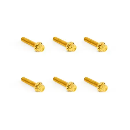 Arlen Ness Titanium 12-point Transmission Side Cover Bolt Kit In Gold For 2007-2024 Cable Clutch 6 Speed Models (300-705)