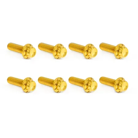 Arlen Ness Titanium 12-point Trap Door Bolt Kit In Gold For 2007-2017 Twin Cam Models (300-714)