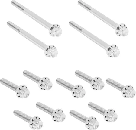 Arlen Ness Titanium Primary Cover Bolt Kit In Polished For Harley Davidson 2017-2026 Touring (300-926)