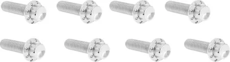 Arlen Ness Titanium Lifter Block Bolt Kit In Polished For 2000-2026 Twin Cam & M8 Engines (300-935)