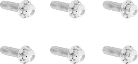 Arlen Ness Titanium Transmission Top Cover Bolt Kit In Polished For Harley Davidson 2017-2025 Milwaukee Eight (Gen 1) & 2007-2017 Twin Cam (300-947)