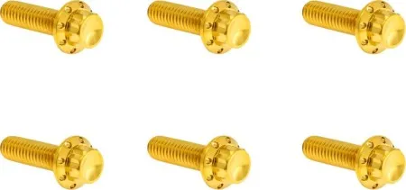 Arlen Ness Titanium Transmission Top Cover Bolt Kit In Gold For Harley Davidson 2017-2025 Milwaukee Eight (Gen 1) & 2007-2017 Twin Cam (300-949)