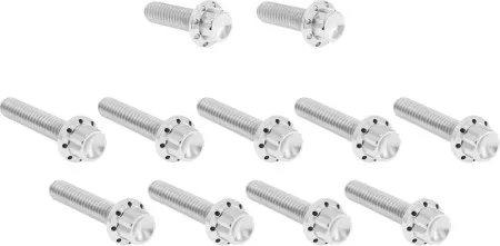 Arlen Ness Titanium Cam Cover Bolt Kit In Polished For 2024-2026 Touring & 2025-2026 Softail (Gen 2) (300-980)