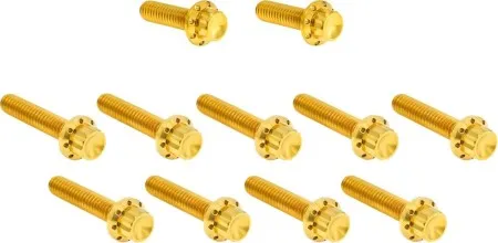 Arlen Ness Titanium Cam Cover Bolt Kit In Gold For 2024-2026 Touring & 2025-2026 Softail (Gen 2) (300-982)